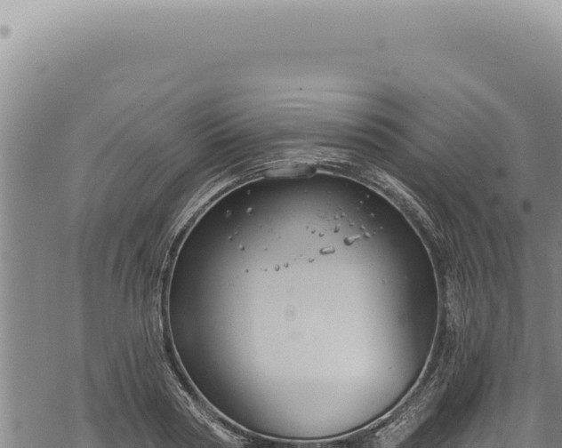 X0000068840794200605121405