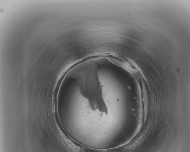 X0000068840795200605121405