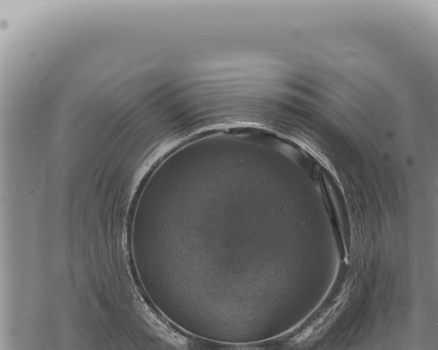 X0000068840797200605121405