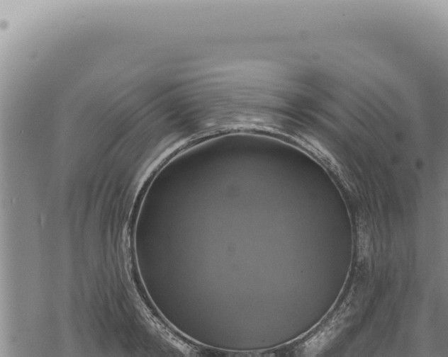 X0000068840798200605121405