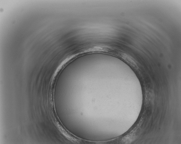 X0000068840800200605121405