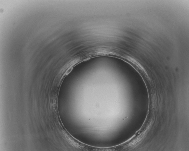 X0000068840801200605121405