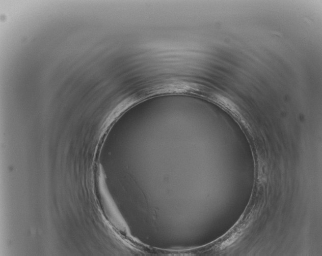 X0000068840802200605121405