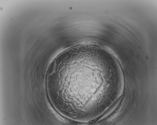 X0000068840803200605121405