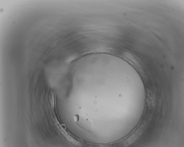 X0000068840804200605121405