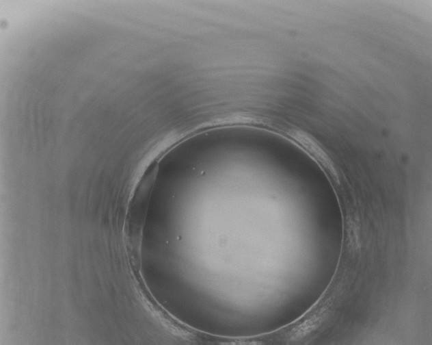 X0000068840805200605121405