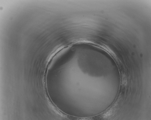 X0000068840806200605121405