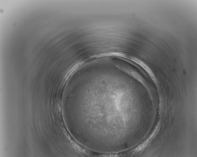 X0000068840809200605121405