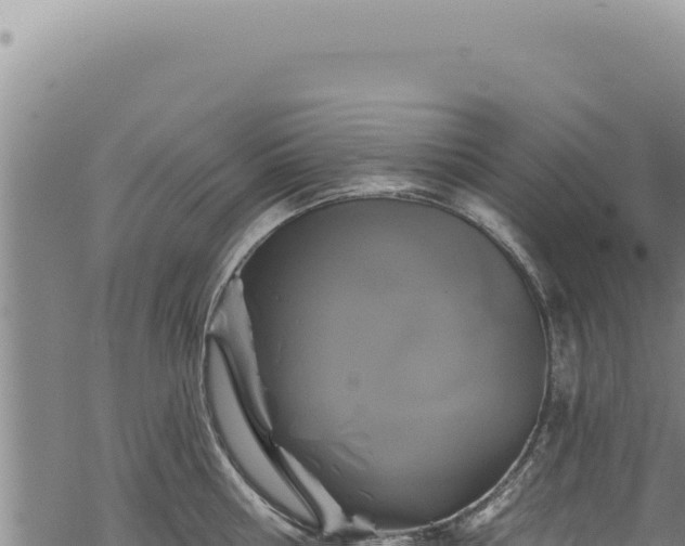 X0000068840810200605121405