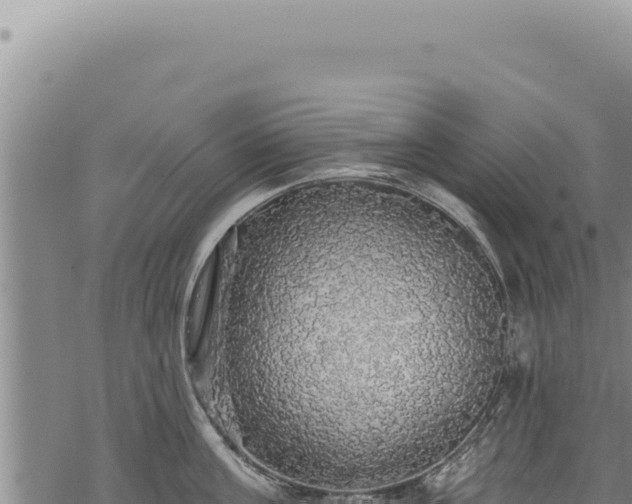 X0000068840811200605121405