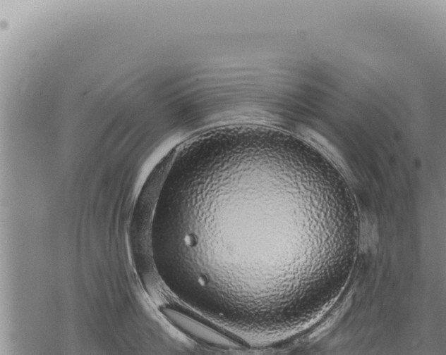 X0000068840812200605121405