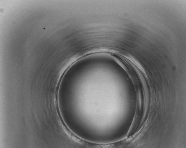 X0000068840813200605121405