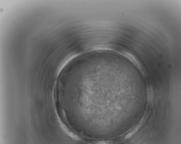 X0000068840814200605121405