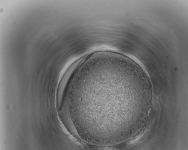 X0000068840815200605121405