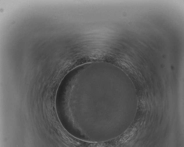 X0000068840817200605121404