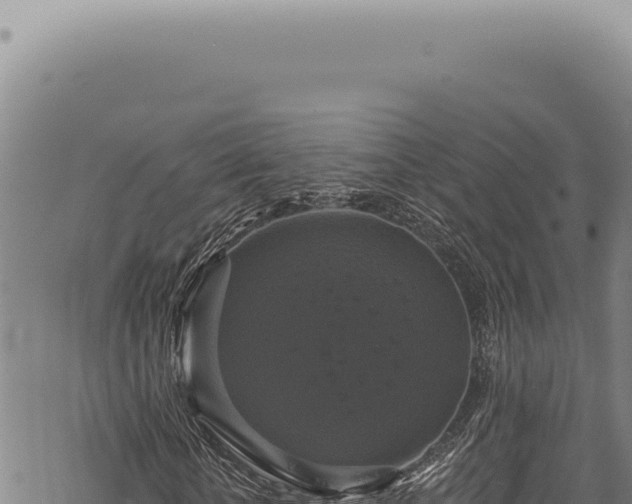 X0000068840818200605121404