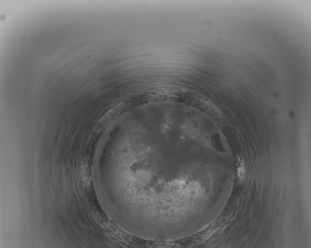 X0000068840819200605121404