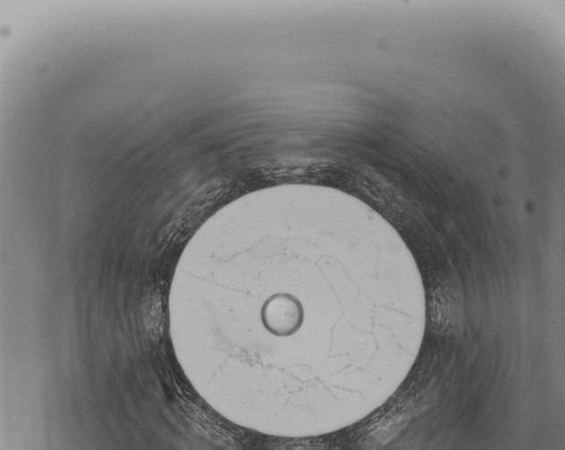 X0000068840820200605121404