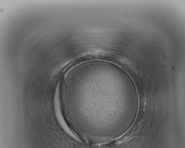 X0000068840822200605121404