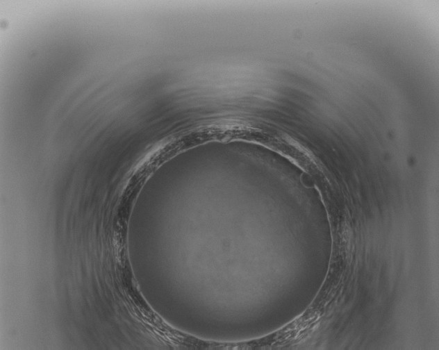 X0000068840823200605121404