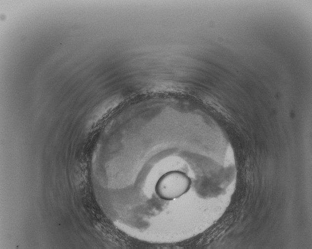 X0000068840824200605121404