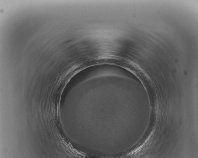 X0000068840825200605121404