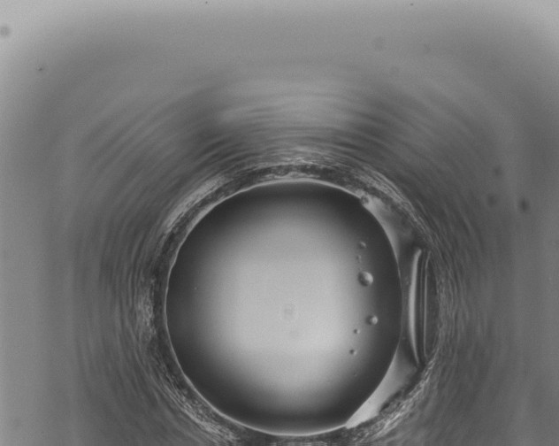 X0000068840826200605121404