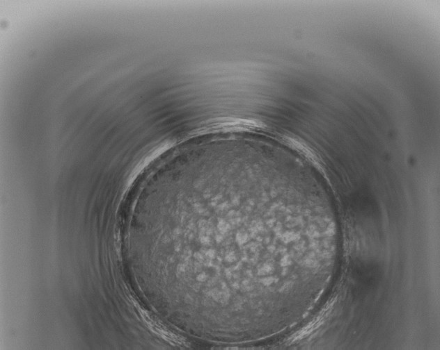 X0000068840827200605121404