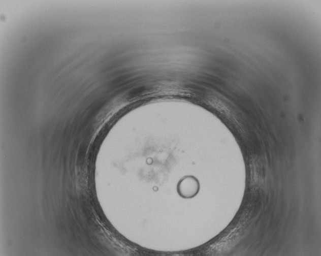 X0000068840828200605121404