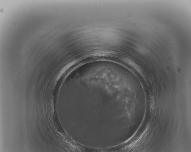 X0000068840829200605121404