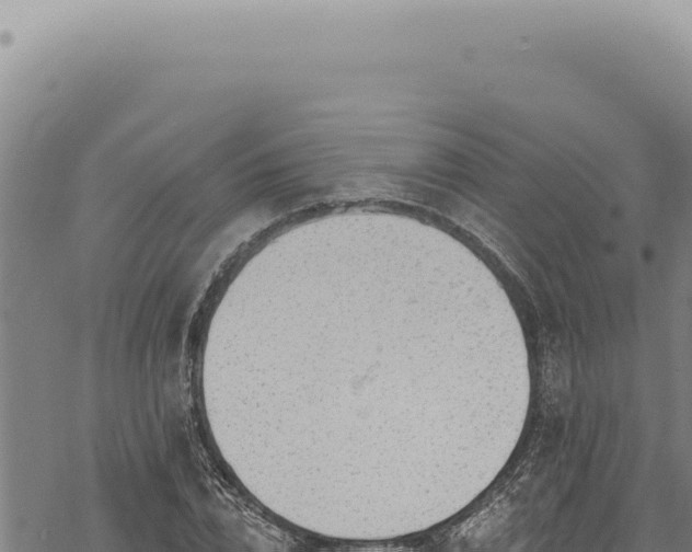 X0000068840832200605121404