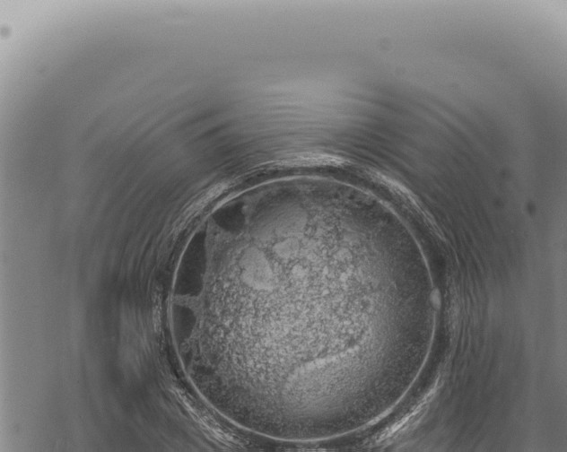 X0000068840833200605121404