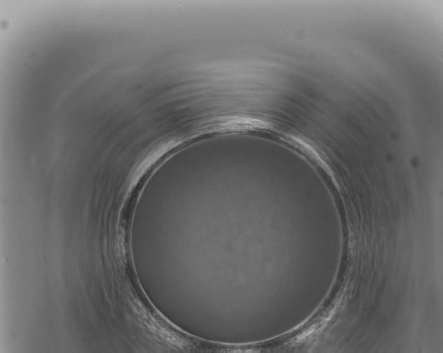 X0000068840835200605121404