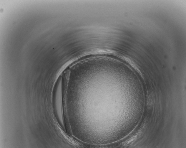 X0000068840837200605121404