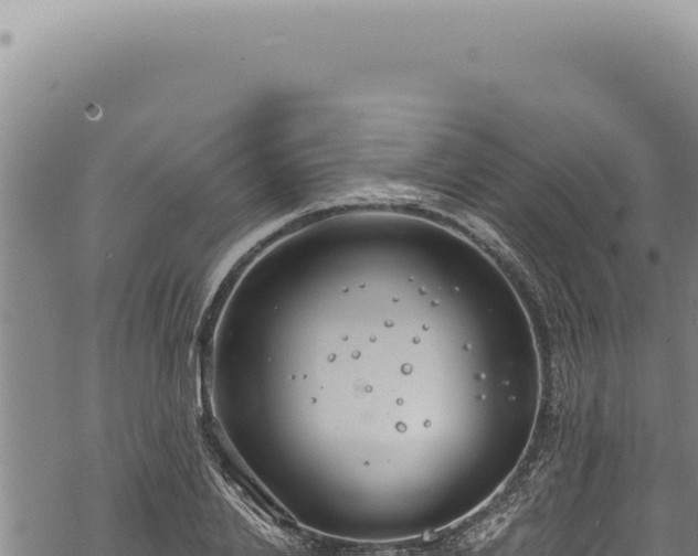 X0000068840838200605121404