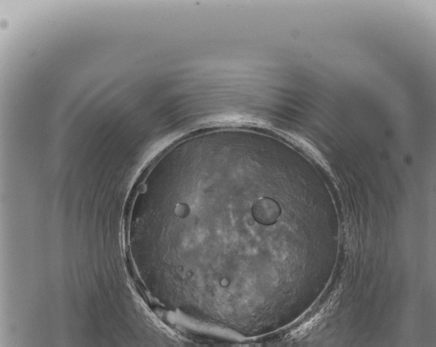 X0000068840839200605121404