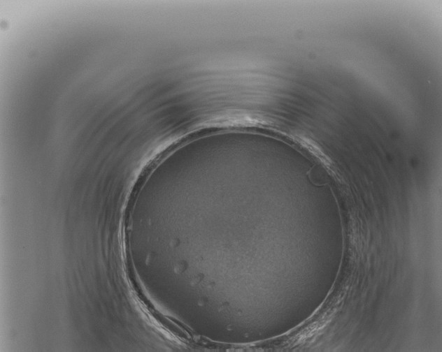 X0000068840840200605121404