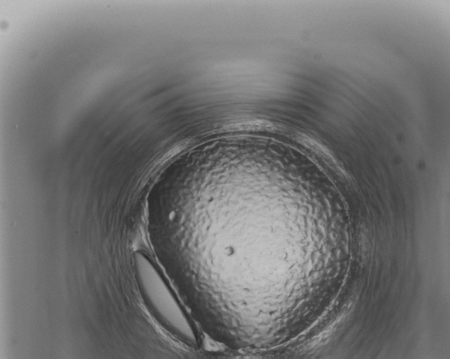 X0000068840841200605121404