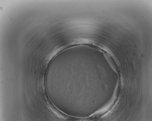 X0000068840842200605121404