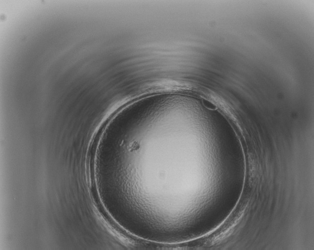 X0000068840843200605121404