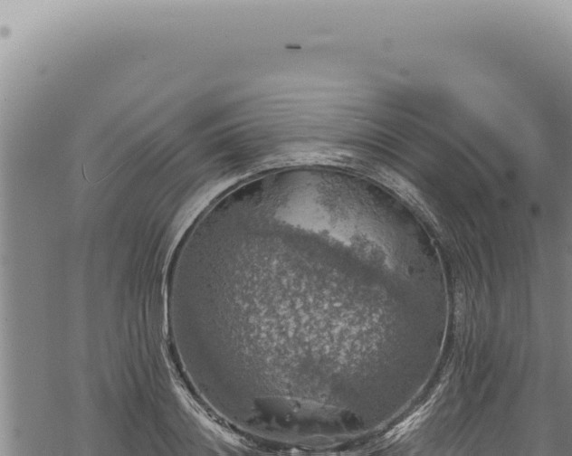 X0000068840844200605121404