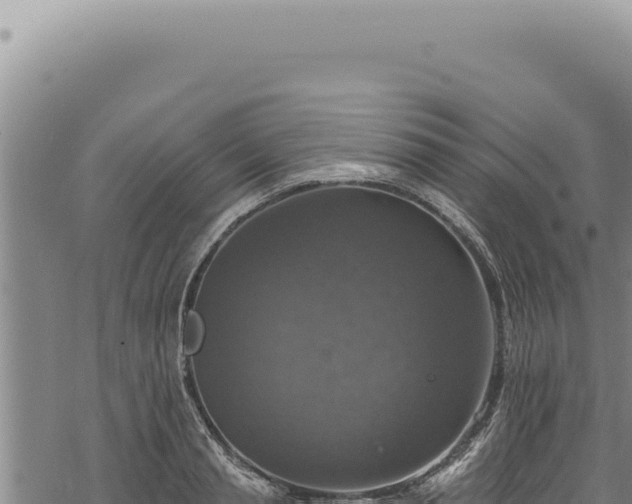 X0000068840845200605121404