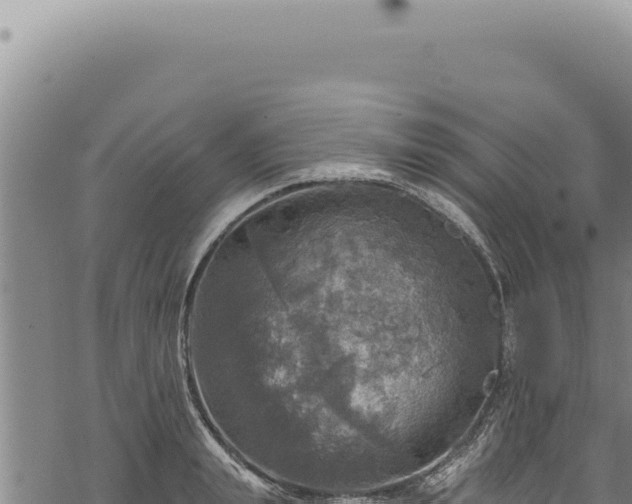 X0000068840847200605121405