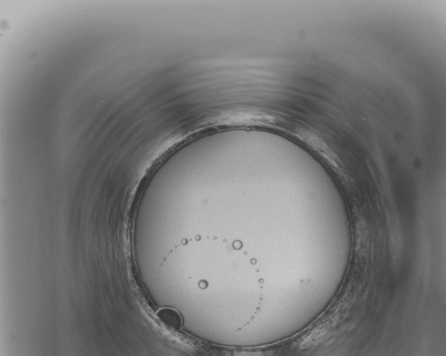 X0000068840848200605121405