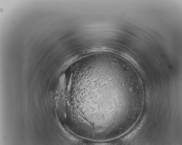 X0000068840849200605121405