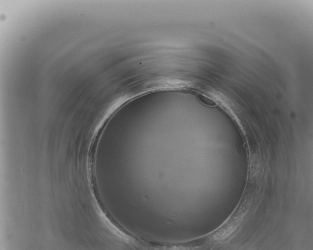 X0000068840851200605121405