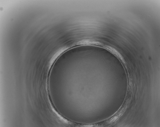 X0000068840855200605121405