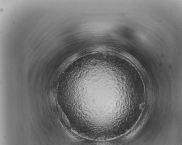 X0000068840857200605121405