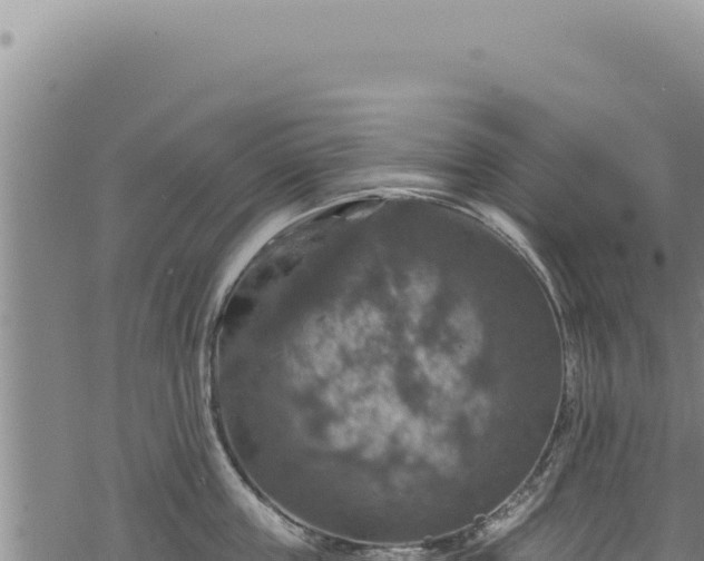 X0000068840859200605121405