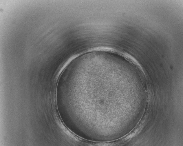 X0000068840860200605121405